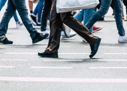 Sneaker Trends